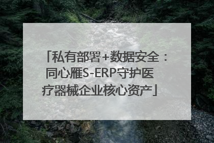私有部署+数据安全：同心雁S-ERP守护医疗器械企业核心资产