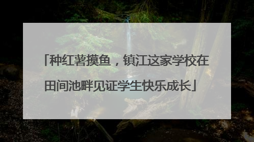 种红薯摸鱼，镇江这家学校在田间池畔见证学生快乐成长