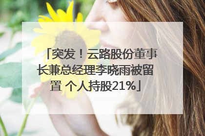 突发！云路股份董事长兼总经理李晓雨被留置 个人持股21%