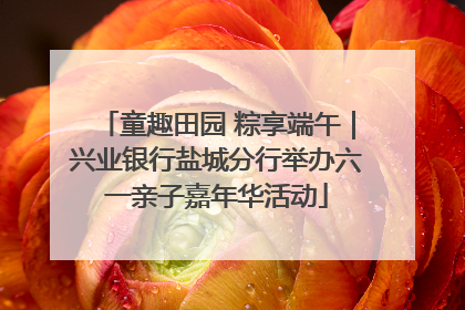 童趣田园 粽享端午｜兴业银行盐城分行举办六一亲子嘉年华活动