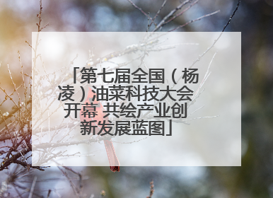 第七届全国（杨凌）油菜科技大会开幕 共绘产业创新发展蓝图