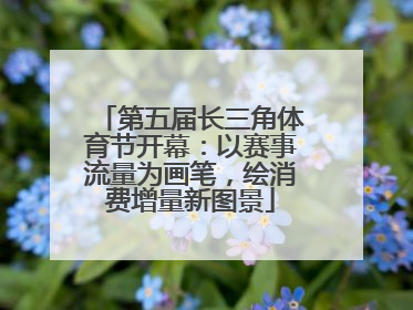 第五届长三角体育节开幕：以赛事流量为画笔，绘消费增量新图景