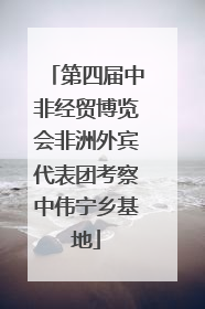 第四届中非经贸博览会非洲外宾代表团考察中伟宁乡基地
