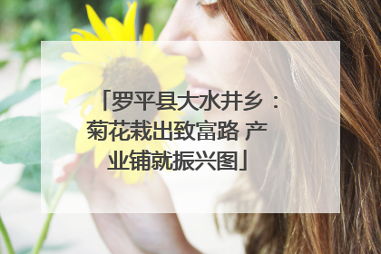 罗平县大水井乡：菊花栽出致富路 产业铺就振兴图