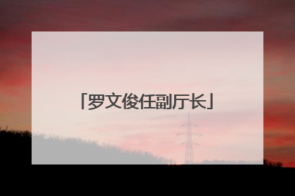 罗文俊任副厅长