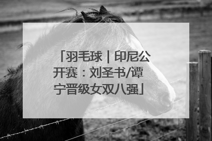 羽毛球｜印尼公开赛：刘圣书/谭宁晋级女双八强
