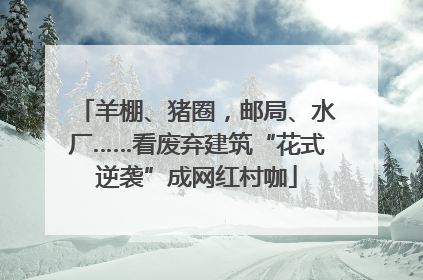 羊棚、猪圈，邮局、水厂……看废弃建筑“花式逆袭”成网红村咖