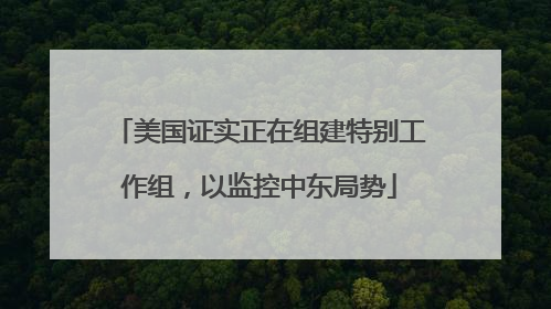 美国证实正在组建特别工作组，以监控中东局势