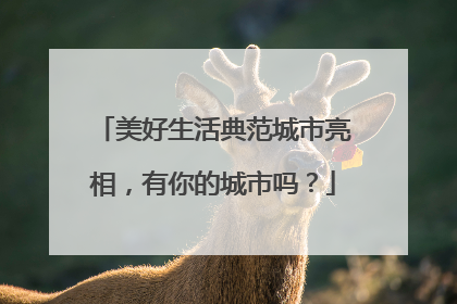 美好生活典范城市亮相，有你的城市吗？