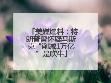 美媒爆料：特朗普曾怀疑马斯克“削减1万亿”是吹牛