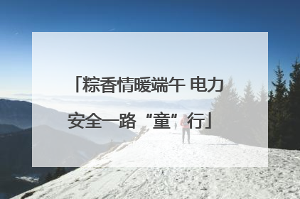 粽香情暖端午 电力安全一路“童”行