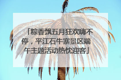 粽香飘五月狂欢嗨不停，平江石牛寨景区端午主题活动热忱迎客