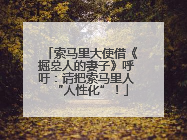 索马里大使借《掘墓人的妻子》呼吁：请把索马里人“人性化”！