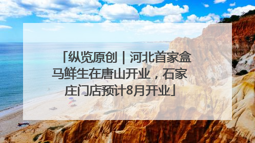 纵览原创｜河北首家盒马鲜生在唐山开业，石家庄门店预计8月开业