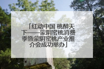 红动中国 桃醉天下——蒙阴蜜桃消费季暨蒙阴蜜桃产业推介会成功举办