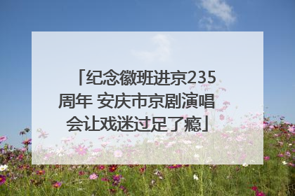 纪念徽班进京235周年 安庆市京剧演唱会让戏迷过足了瘾