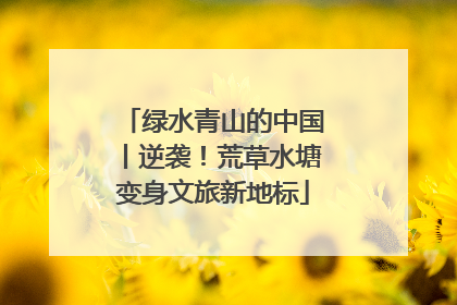 绿水青山的中国丨逆袭！荒草水塘变身文旅新地标