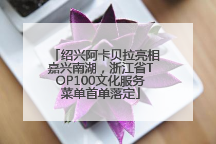 绍兴阿卡贝拉亮相嘉兴南湖，浙江省TOP100文化服务菜单首单落定