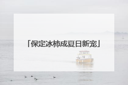保定冰柿成夏日新宠