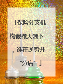 保险分支机构裁撤大潮下，谁在逆势开“分店”