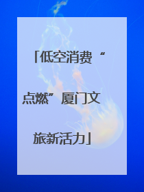 低空消费“点燃”厦门文旅新活力