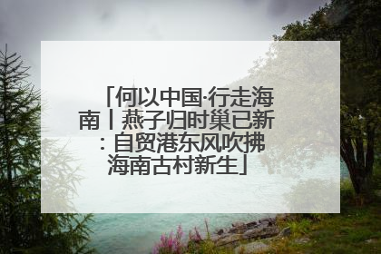 何以中国·行走海南丨燕子归时巢已新：自贸港东风吹拂 海南古村新生