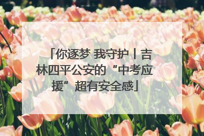 你逐梦 我守护丨吉林四平公安的“中考应援”超有安全感