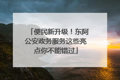 便民新升级！东阿公安政务服务这些亮点你不能错过