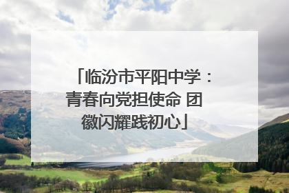 临汾市平阳中学：青春向党担使命 团徽闪耀践初心