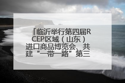 临沂举行第四届RCEP区域（山东）进口商品博览会、共建“一带一路”第三届临沂商城国际采购商大会新闻发布会