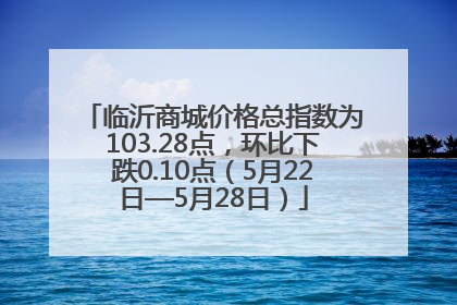 临沂商城价格总指数为103.28点，环比下跌0.10点（5月22日—5月28日）