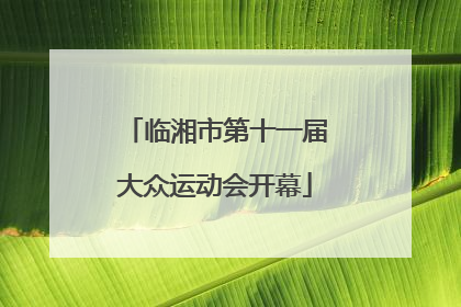 临湘市第十一届大众运动会开幕