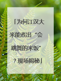 为何江汉大米能煮出“会跳舞的米饭”？现场揭秘