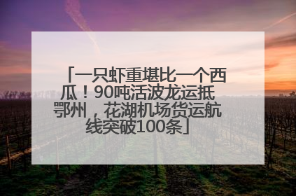 一只虾重堪比一个西瓜！90吨活波龙运抵鄂州，花湖机场货运航线突破100条