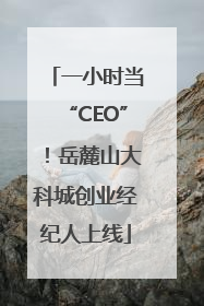 一小时当“CEO”！岳麓山大科城创业经纪人上线