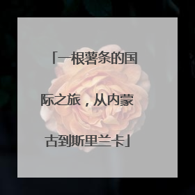 一根薯条的国际之旅，从内蒙古到斯里兰卡