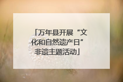 万年县开展“文化和自然遗产日”非遗主题活动