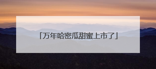 万年哈密瓜甜蜜上市了