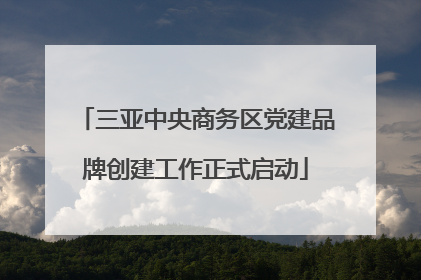 三亚中央商务区党建品牌创建工作正式启动