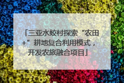 三亚水蛟村探索“农田+”耕地复合利用模式，开发农旅融合项目