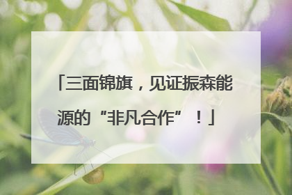 三面锦旗，见证振森能源的“非凡合作”！