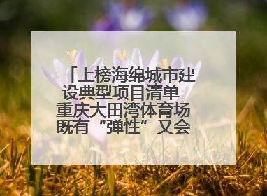 上榜海绵城市建设典型项目清单 重庆大田湾体育场既有“弹性”又会“呼吸”
