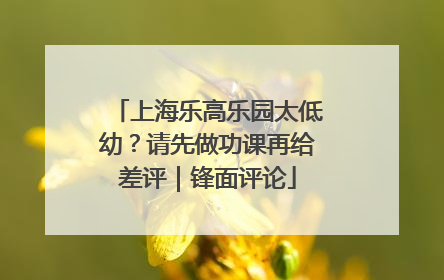 上海乐高乐园太低幼？请先做功课再给差评｜锋面评论