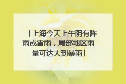 上海今天上午阴有阵雨或雷雨，局部地区雨量可达大到暴雨