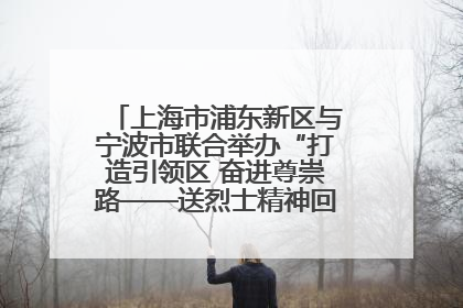 上海市浦东新区与宁波市联合举办“打造引领区 奋进尊崇路——送烈士精神回家乡”主题活动