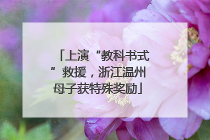 上演“教科书式”救援，浙江温州母子获特殊奖励