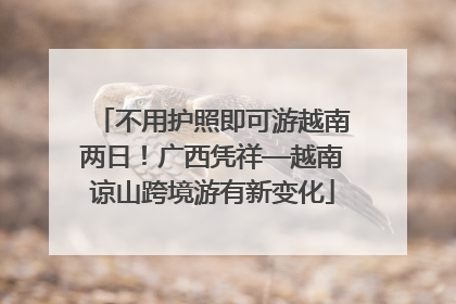 不用护照即可游越南两日！广西凭祥—越南谅山跨境游有新变化