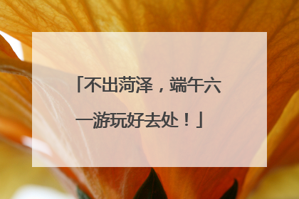不出菏泽，端午六一游玩好去处！