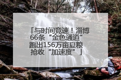 与时间竞速！淄博66条“金色通道”跑出156万亩夏粮抢收“加速度”