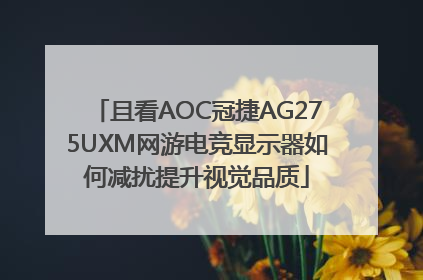且看AOC冠捷AG275UXM网游电竞显示器如何减扰提升视觉品质